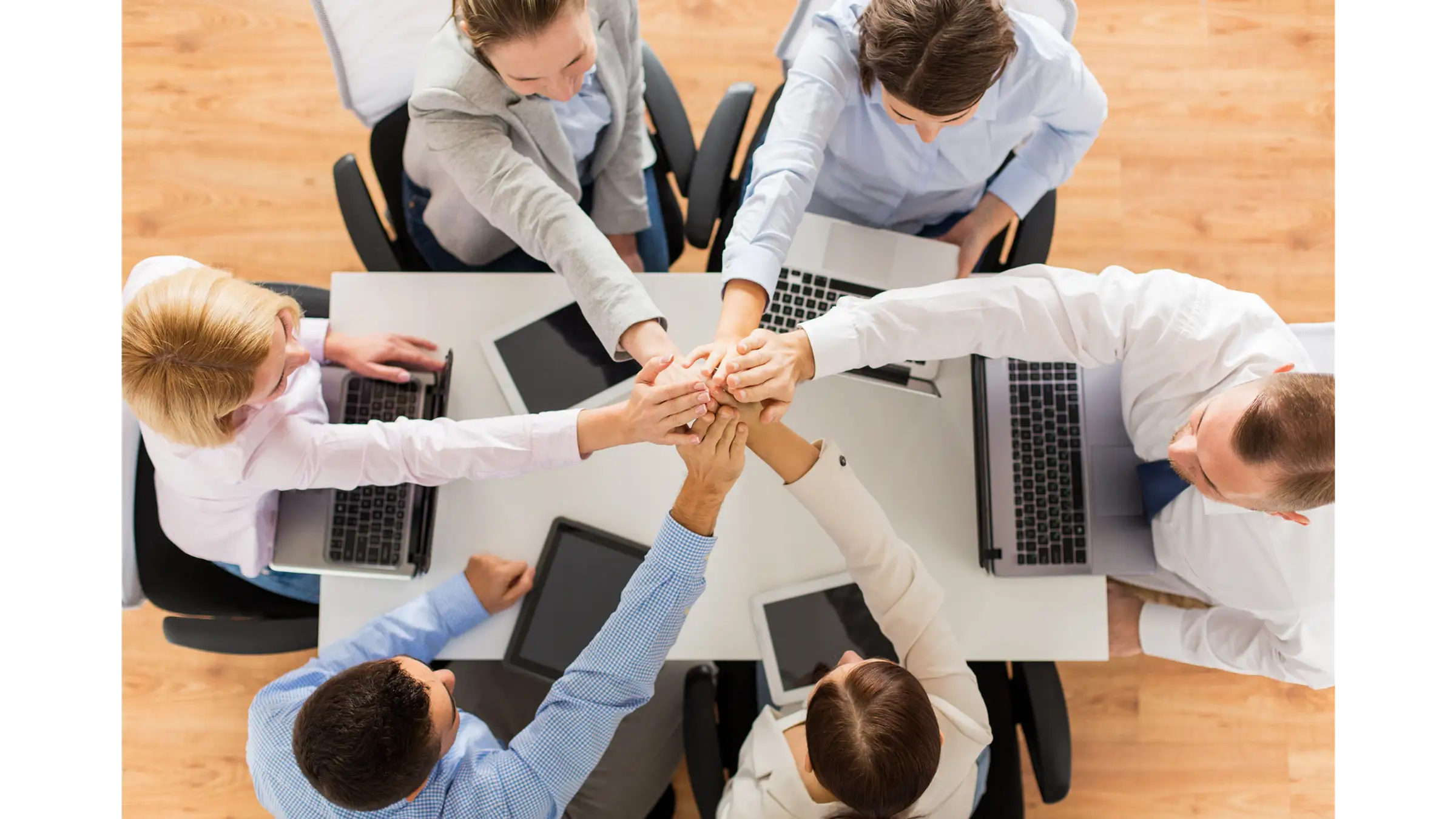 Tailored Support for Teams & Individuals
